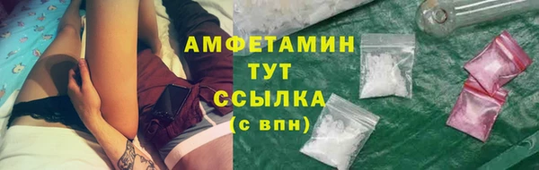 мяу мяу мука Аркадак